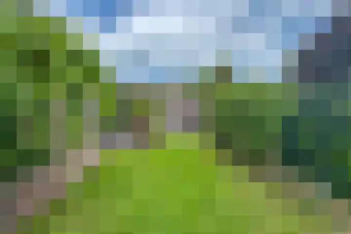 Johan de Wittlaan 15 Woerden thumbnail 28