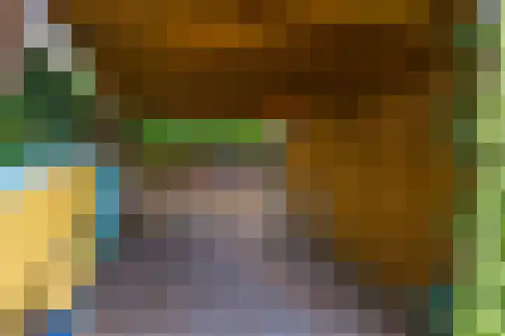 Johan de Wittlaan 15 Woerden thumbnail 30