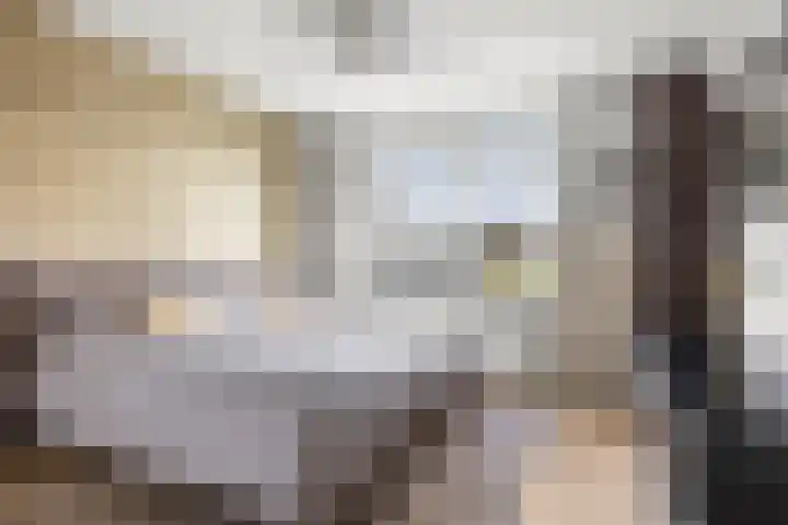 Johan de Wittlaan 15 Woerden thumbnail 32