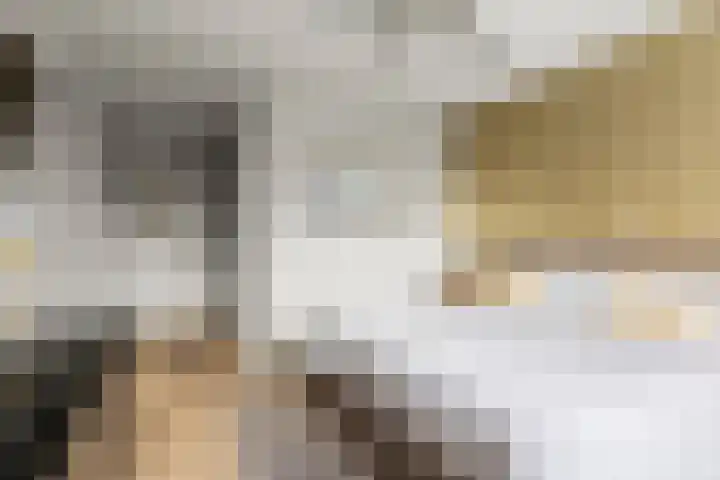 Johan de Wittlaan 15 Woerden thumbnail 33