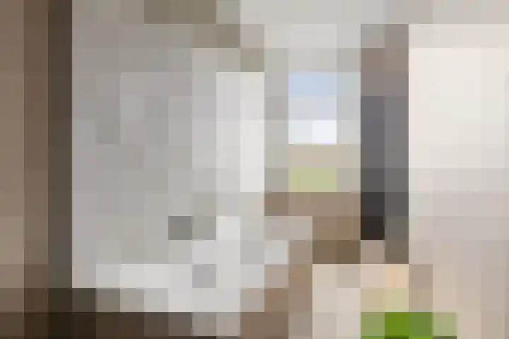 Johan de Wittlaan 15 Woerden thumbnail 35