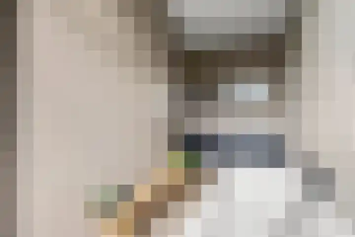 Johan de Wittlaan 15 Woerden thumbnail 36