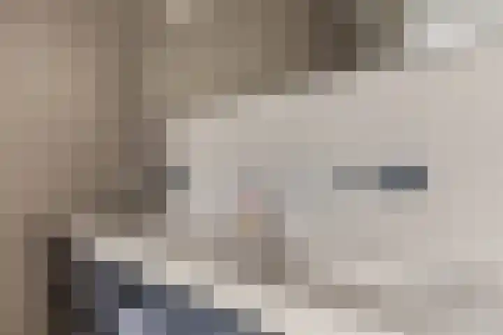 Johan de Wittlaan 15 Woerden thumbnail 38