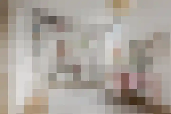 Johan de Wittlaan 15 Woerden thumbnail 40