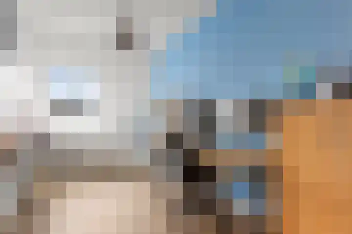 Johan de Wittlaan 15 Woerden thumbnail 41