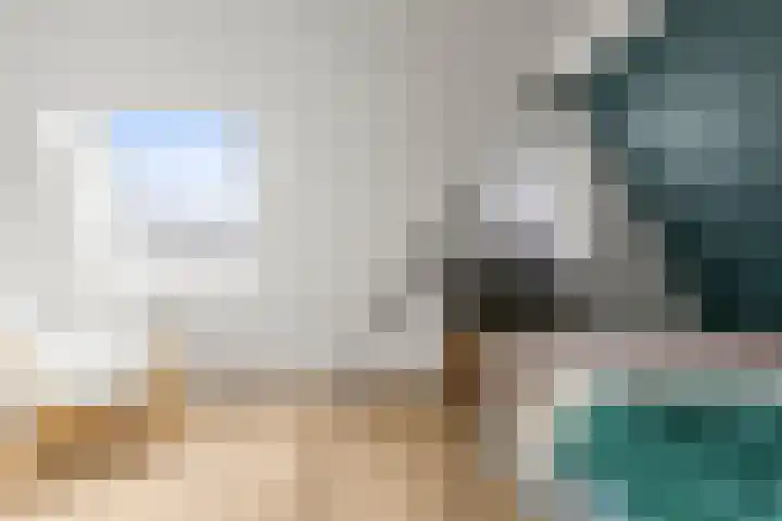 Johan de Wittlaan 15 Woerden thumbnail 45