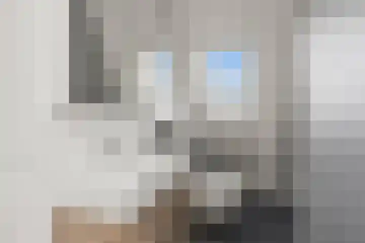 Johan de Wittlaan 15 Woerden thumbnail 49