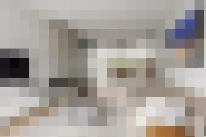 Johan de Wittlaan 15 Woerden thumbnail 9