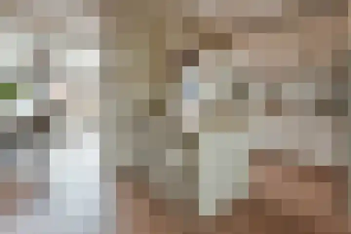 Johan de Wittlaan 16 Uithoorn thumbnail 11