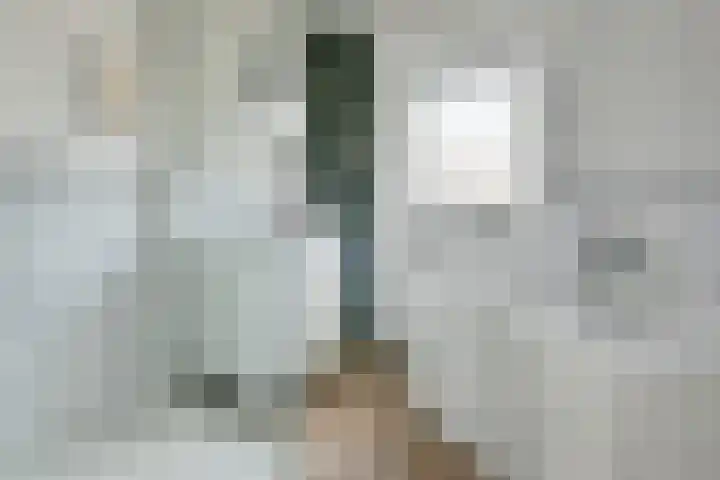 Johan de Wittlaan 16 Uithoorn thumbnail 15