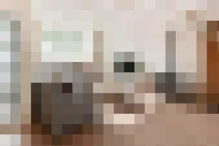 Johan de Wittlaan 16 Uithoorn thumbnail 6