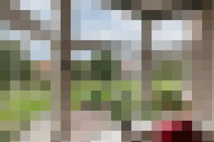 Johan de Wittlaan 165 Arnhem thumbnail 7