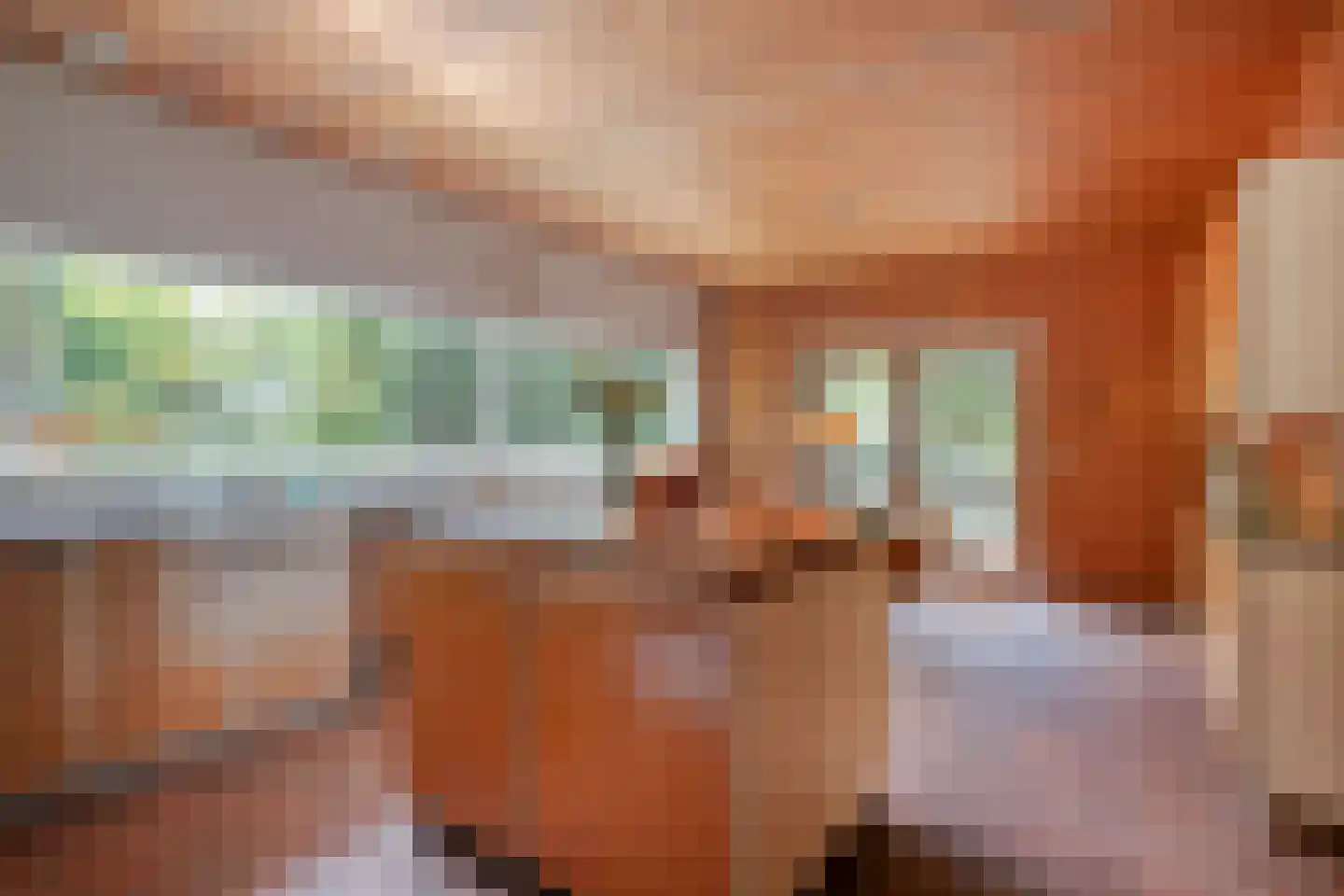Johan de Wittlaan 18 Eindhoven thumbnail 17