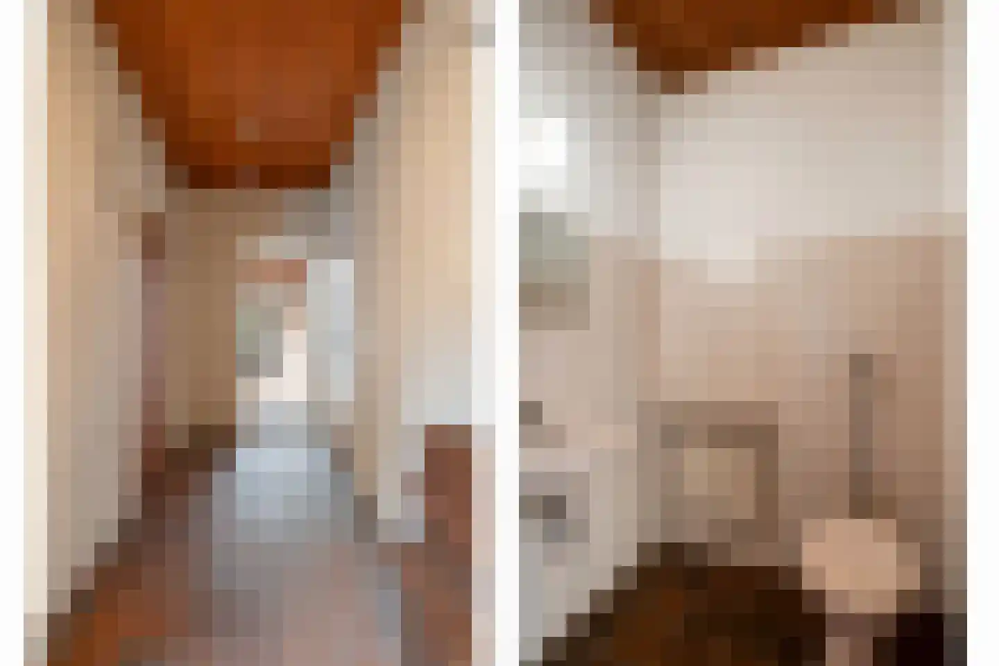 Johan de Wittlaan 18 Eindhoven thumbnail 19