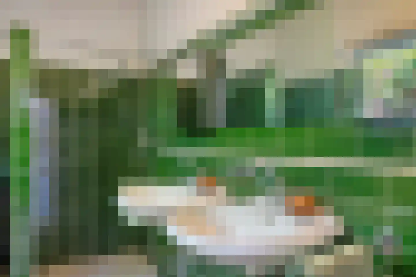Johan de Wittlaan 18 Eindhoven thumbnail 31