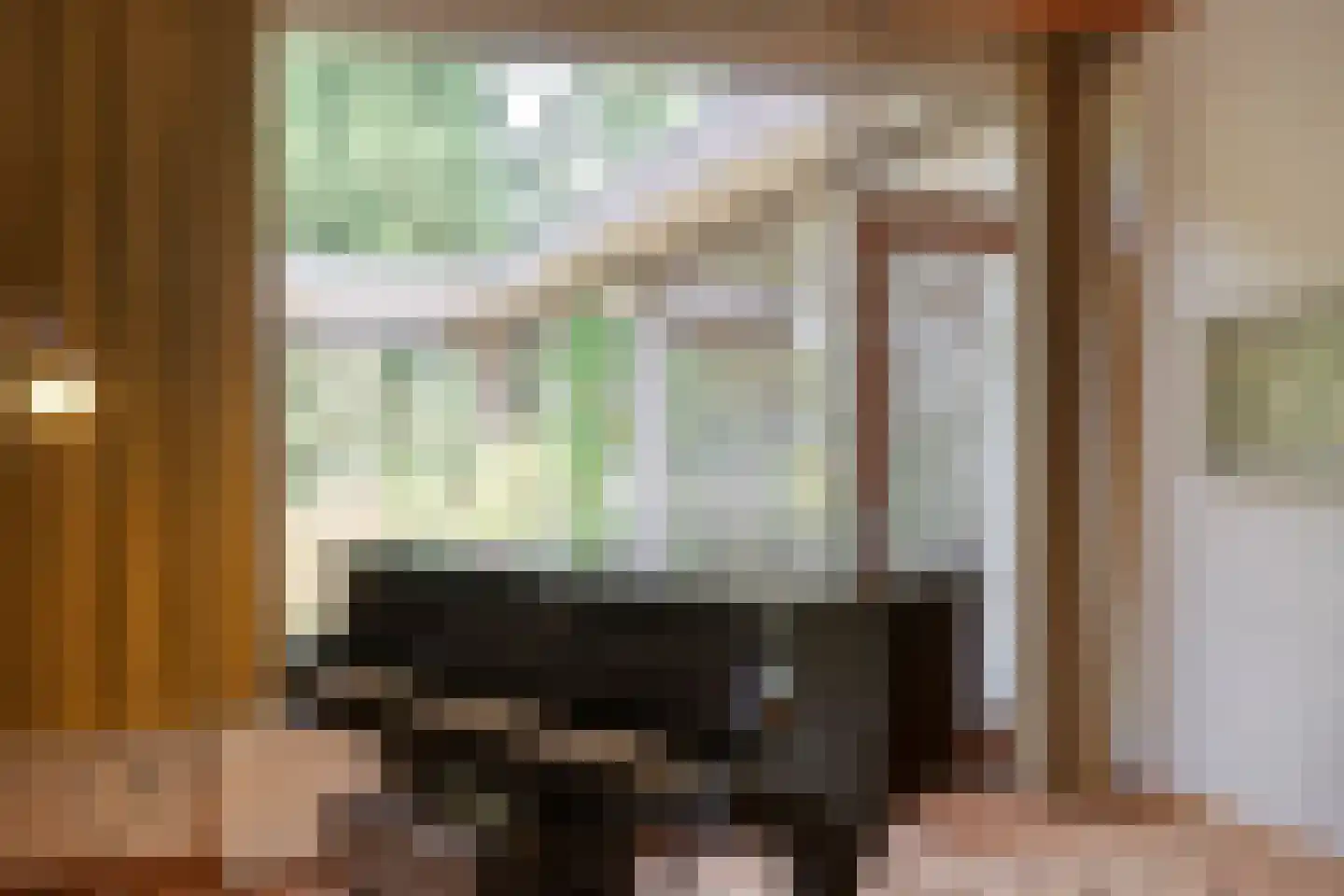 Johan de Wittlaan 18 Eindhoven thumbnail 8
