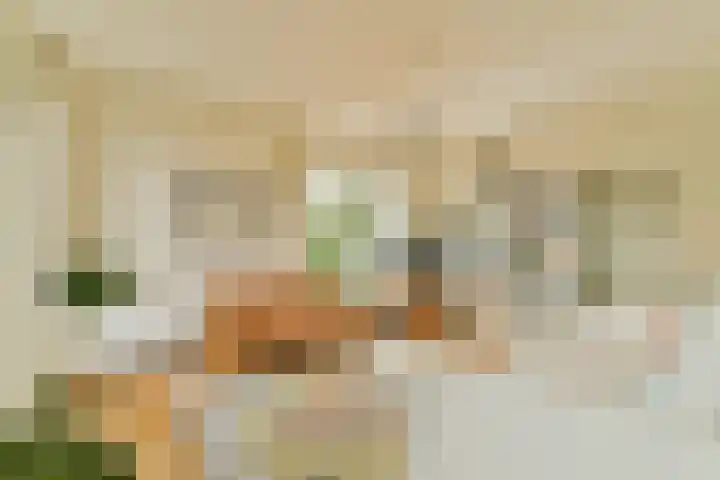 Johan de Wittlaan 18 Rotterdam thumbnail 17