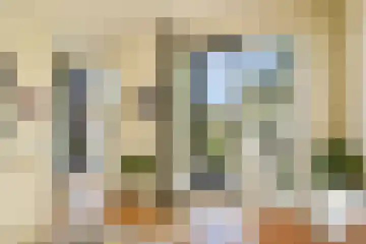 Johan de Wittlaan 18 Rotterdam thumbnail 19