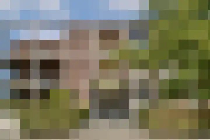 Johan de Wittlaan 18 Rotterdam thumbnail 28