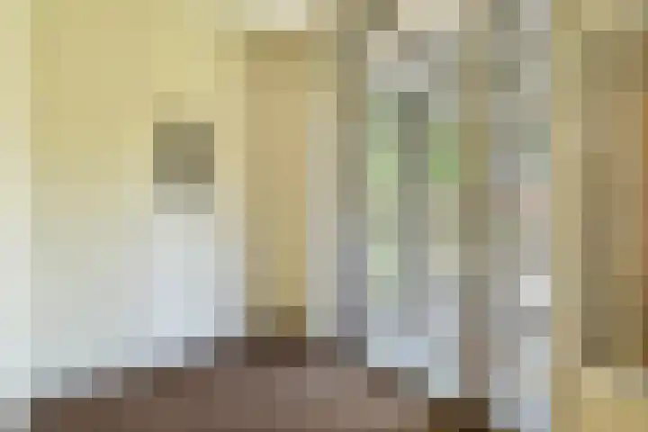 Johan de Wittlaan 18 Rotterdam thumbnail 31