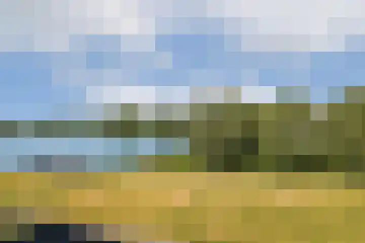 Johan de Wittlaan 18 Rotterdam thumbnail 33