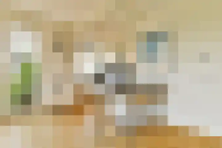 Johan de Wittlaan 18 Rotterdam thumbnail 6