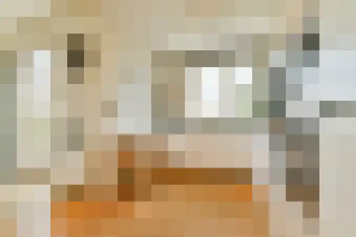 Johan de Wittlaan 18 Rotterdam thumbnail 7