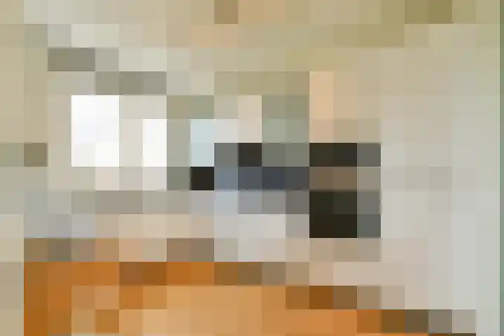 Johan de Wittlaan 18 Rotterdam thumbnail 8