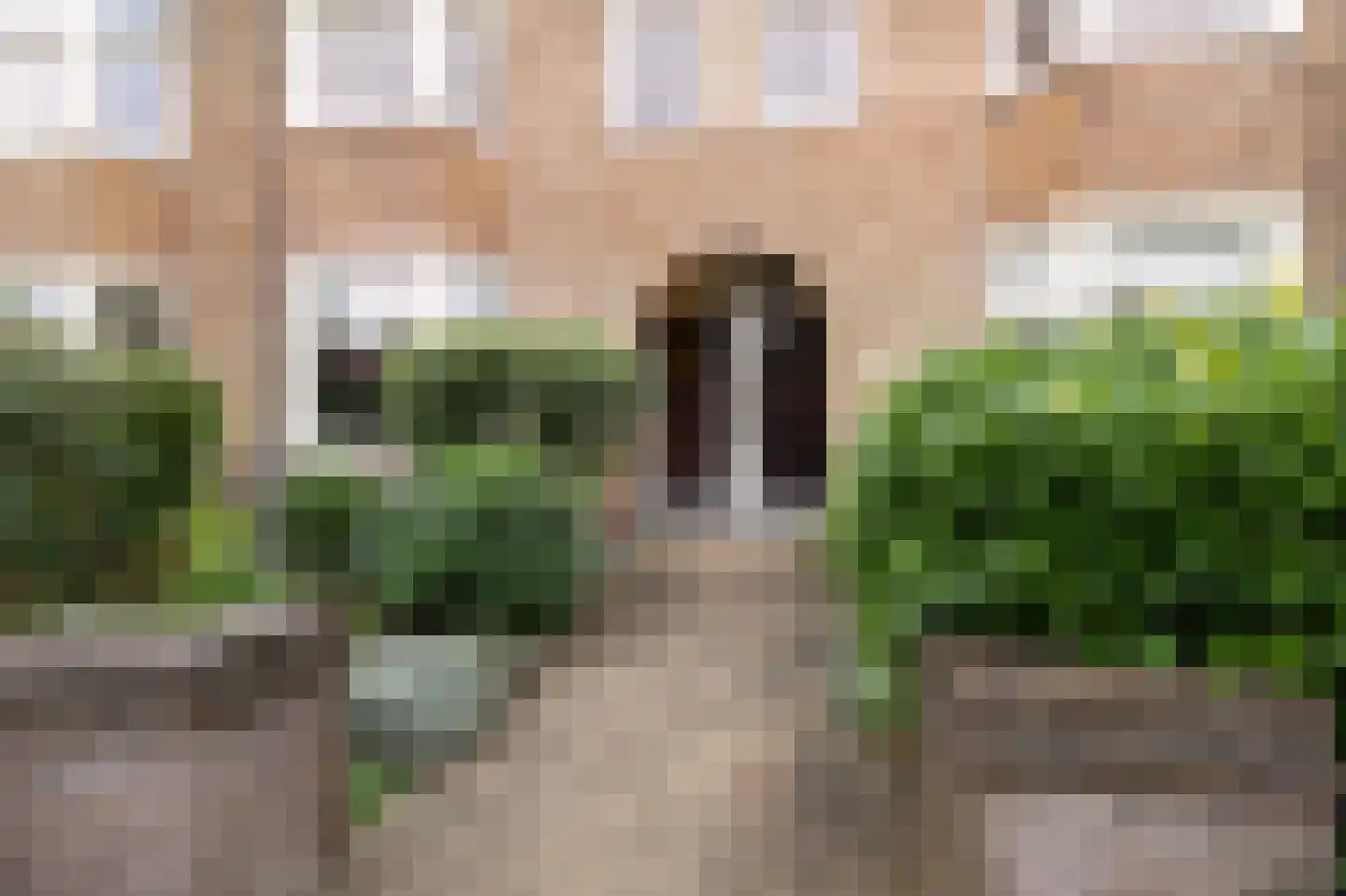 Johan de Wittlaan 183 Arnhem thumbnail 5