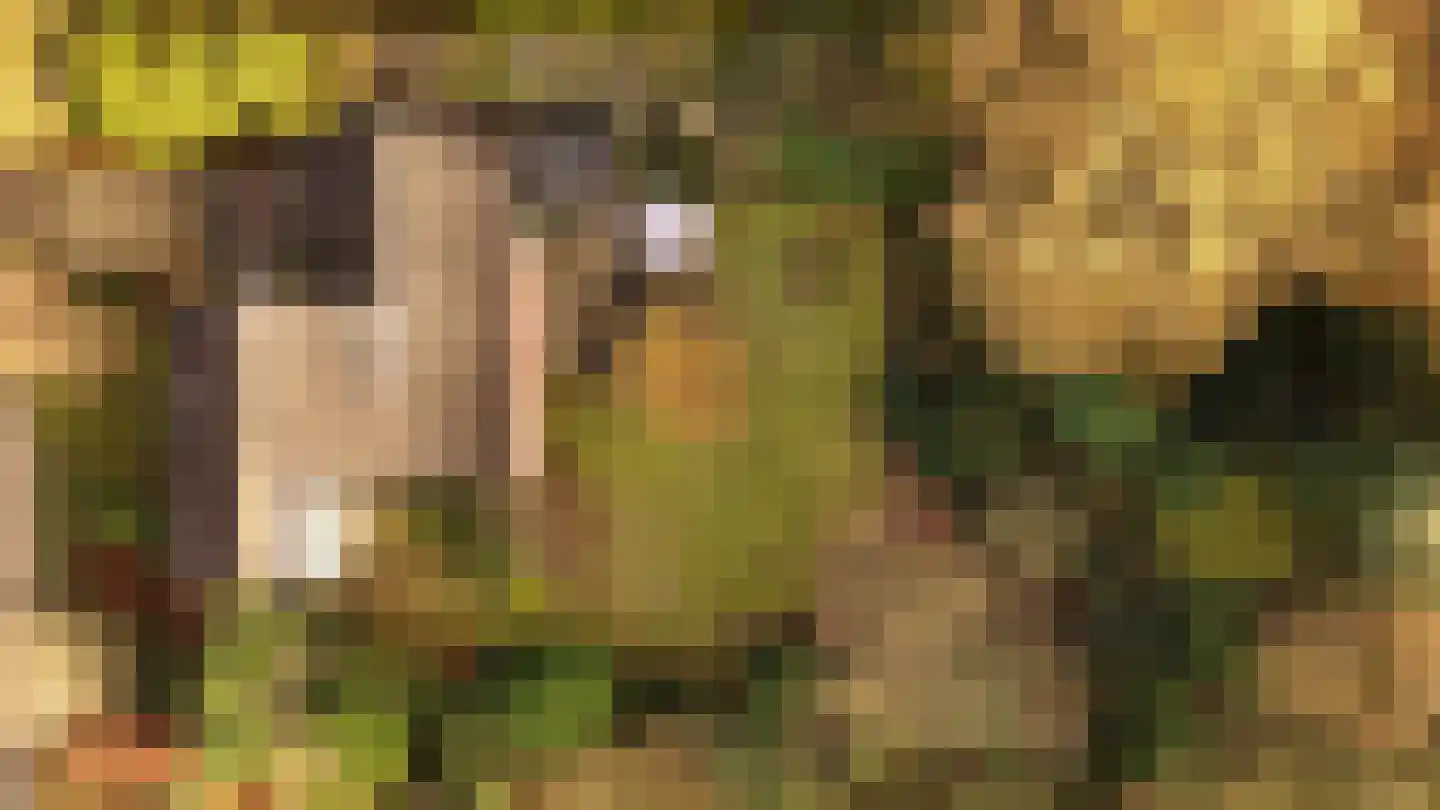Johan de Wittlaan 19 Eindhoven thumbnail 17