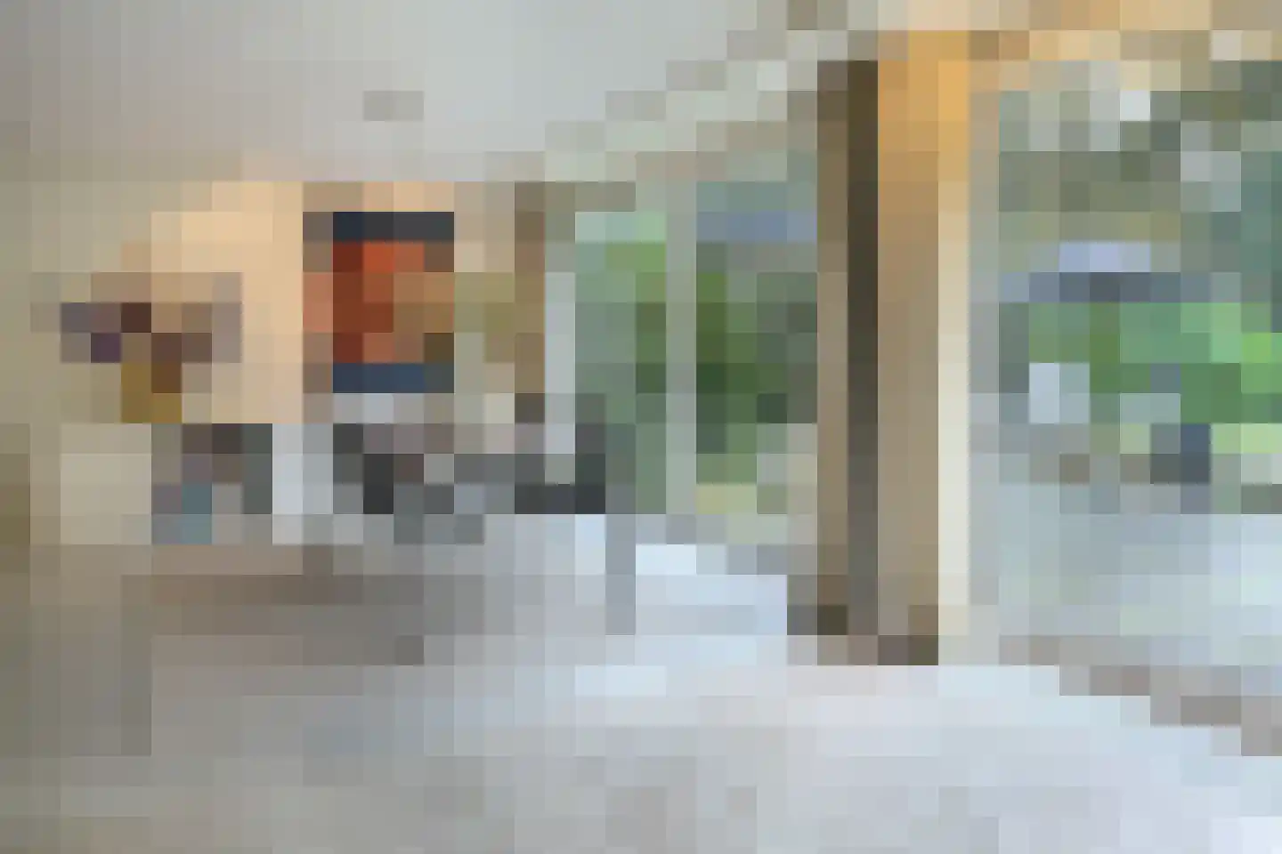 Johan de Wittlaan 19 Eindhoven thumbnail 20