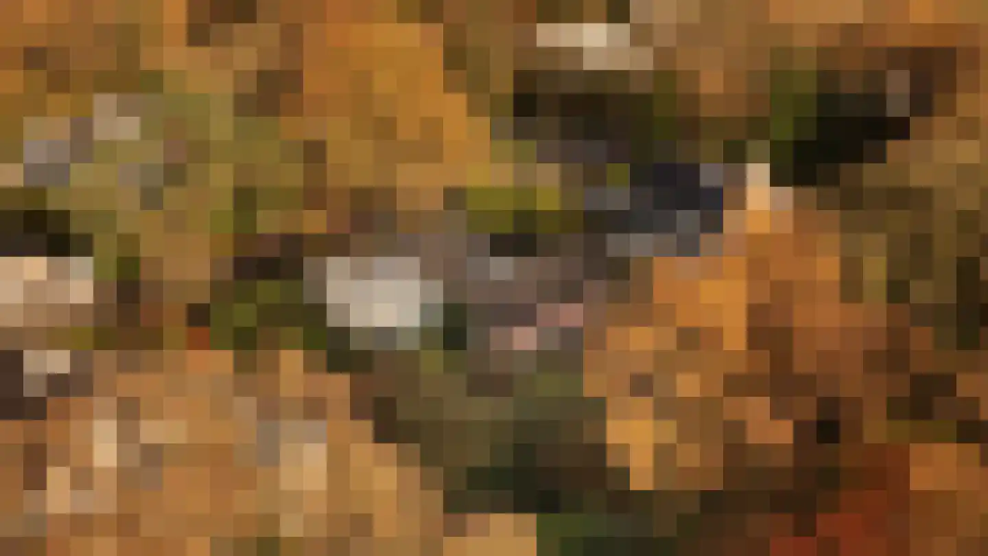 Johan de Wittlaan 19 Eindhoven thumbnail 23