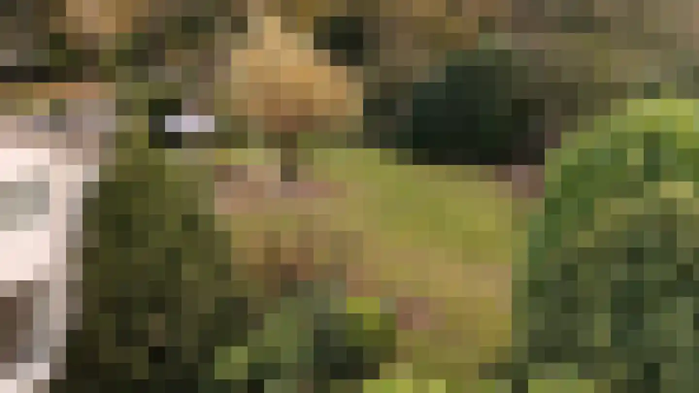 Johan de Wittlaan 19 Eindhoven thumbnail 26