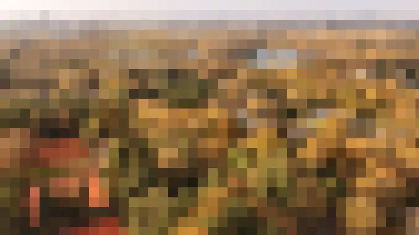 Johan de Wittlaan 19 Eindhoven thumbnail 27
