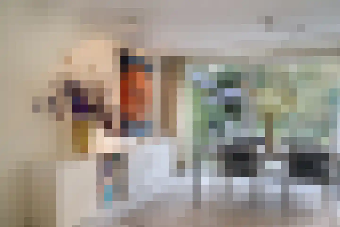 Johan de Wittlaan 19 Eindhoven thumbnail 31