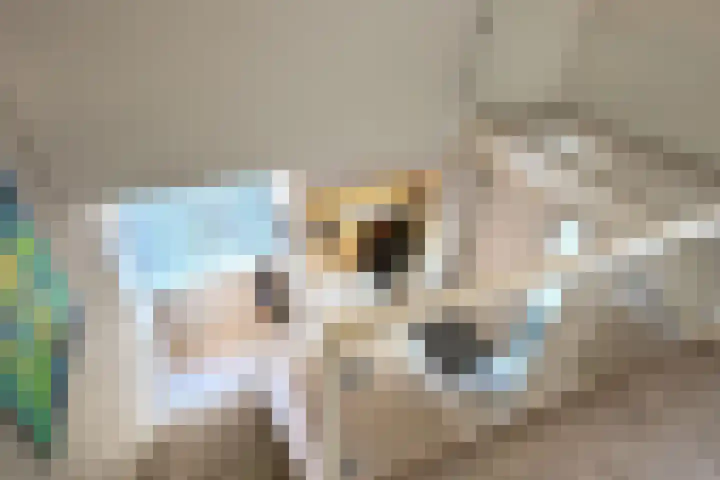 Johan de Wittlaan 19 Eindhoven thumbnail 37