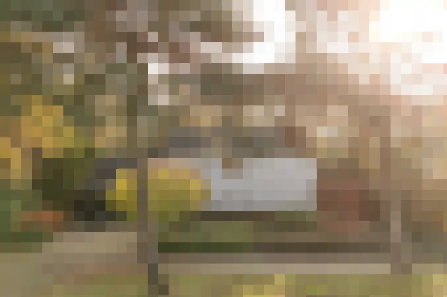 Johan de Wittlaan 19 Eindhoven thumbnail 4
