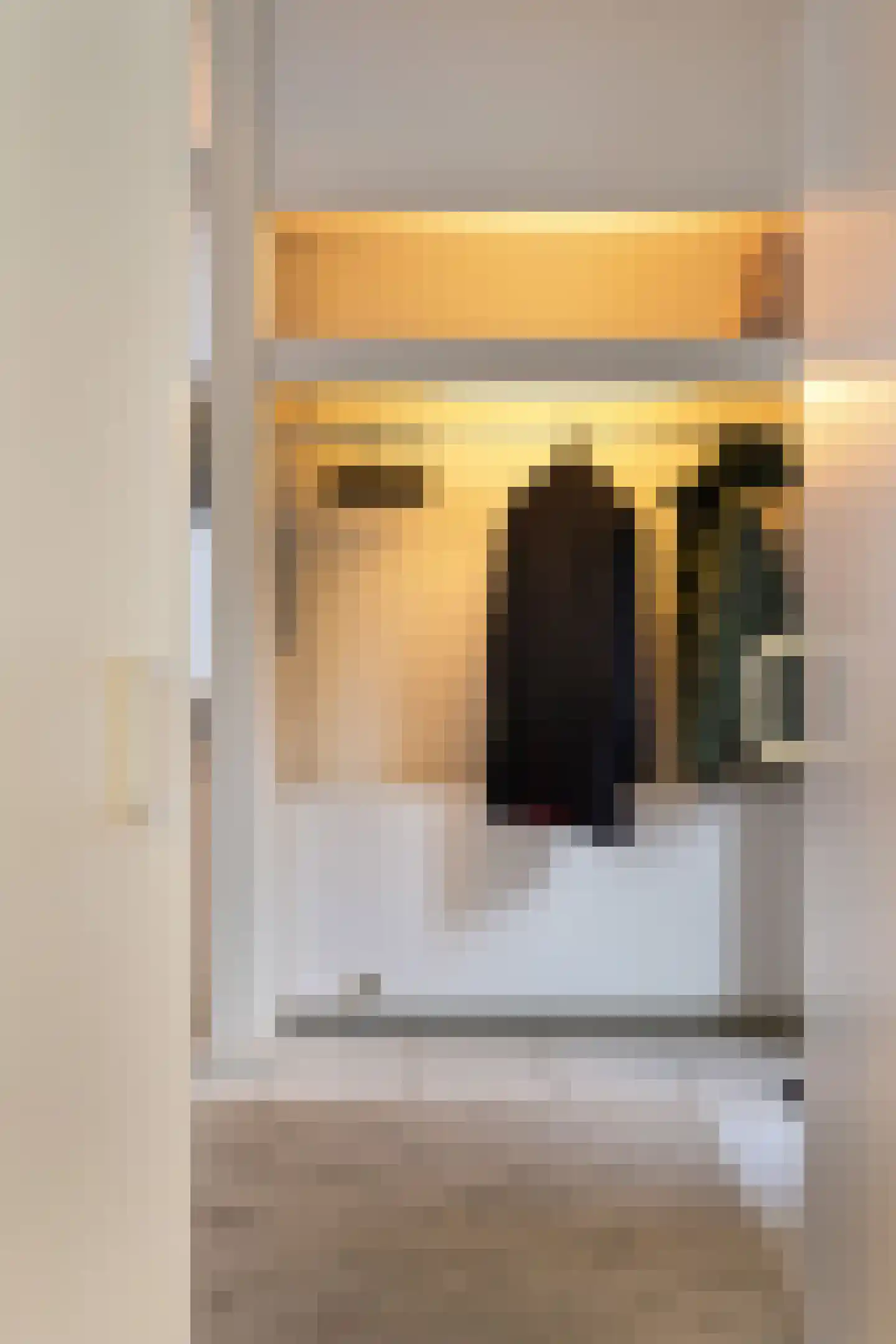 Johan de Wittlaan 19 Eindhoven thumbnail 42