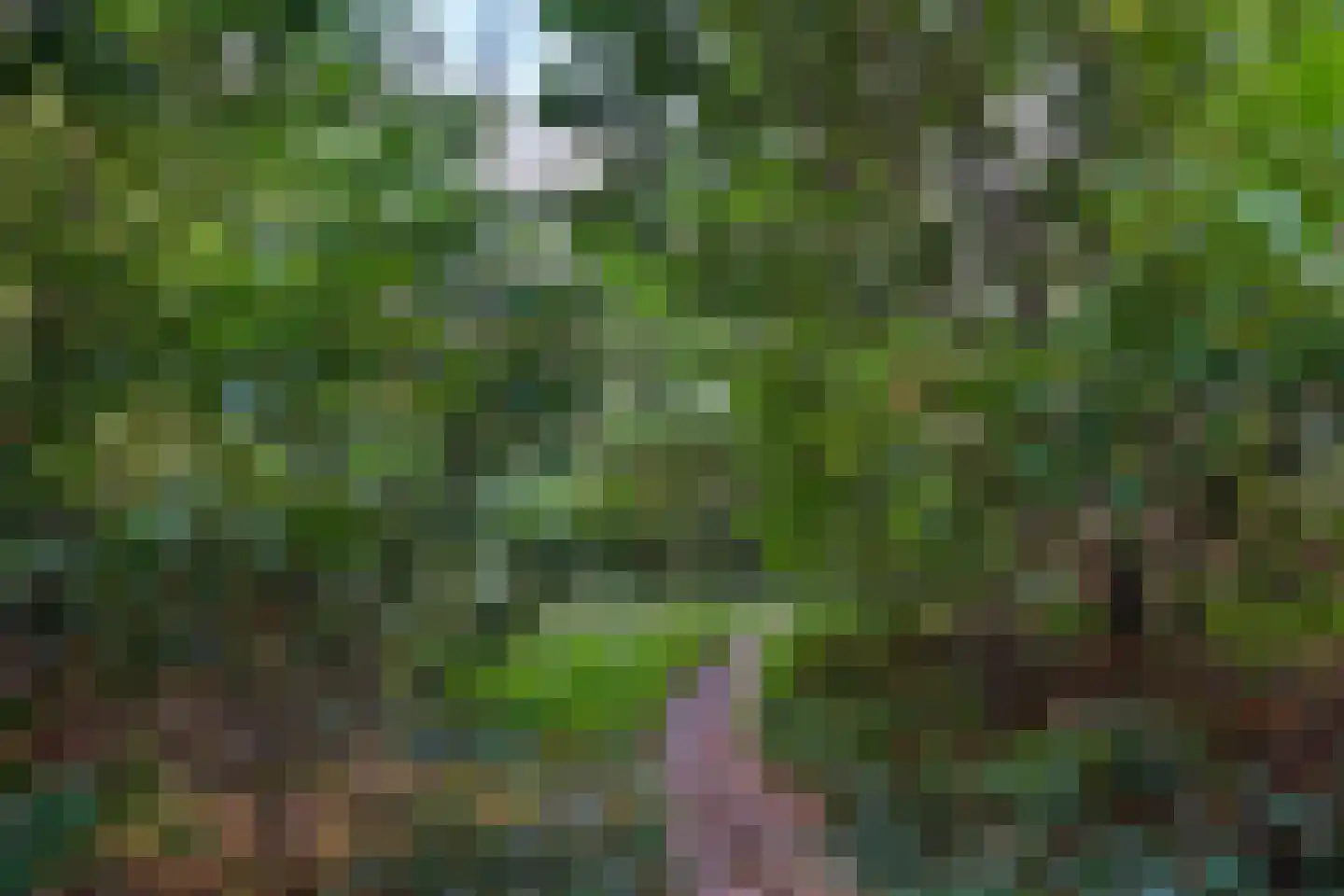 Johan de Wittlaan 19 Eindhoven thumbnail 54