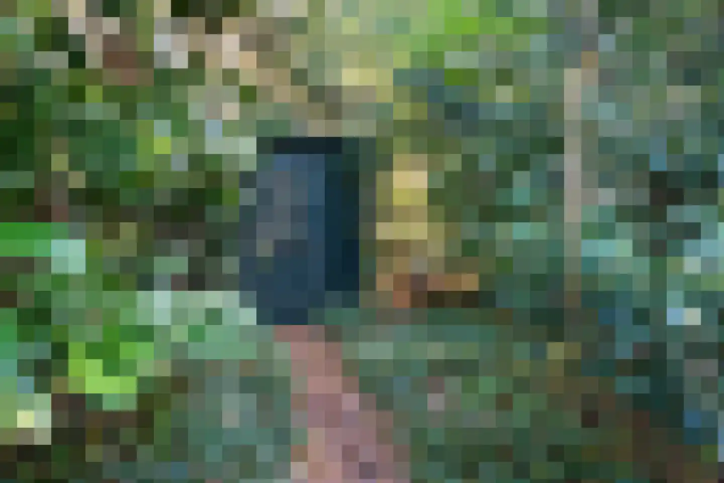 Johan de Wittlaan 19 Eindhoven thumbnail 56