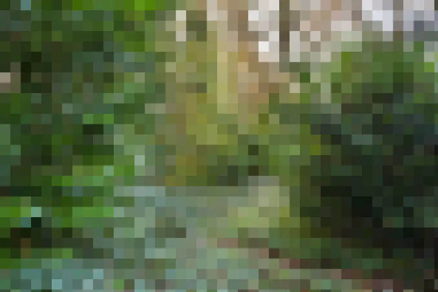 Johan de Wittlaan 19 Eindhoven thumbnail 57