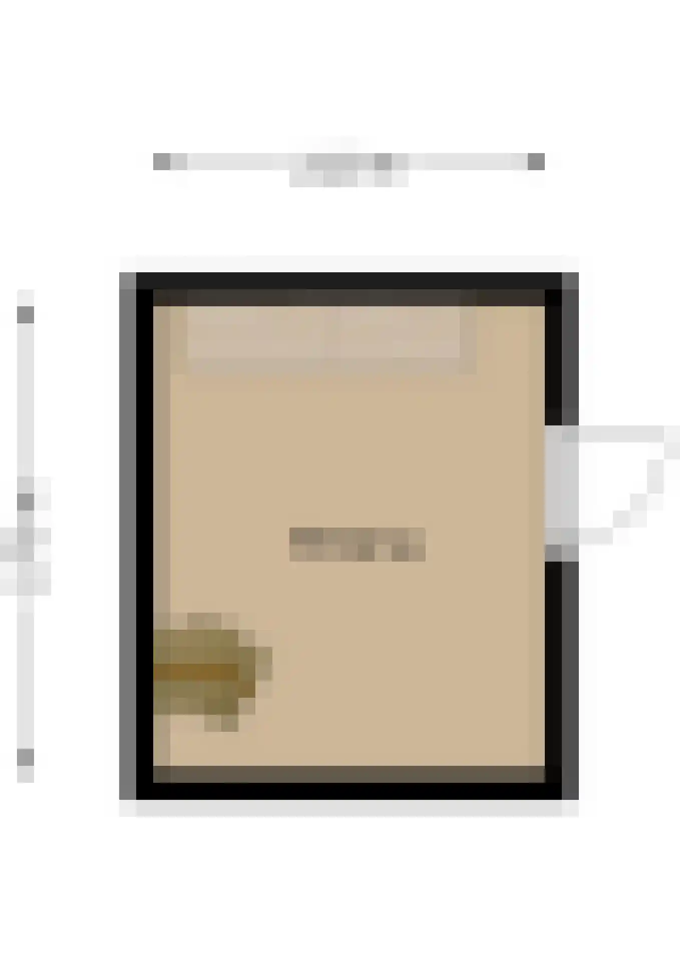 Johan de Wittlaan 19 Eindhoven thumbnail 66