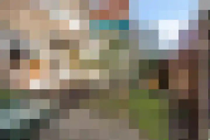 Johan de Wittlaan 198 Arnhem thumbnail 24