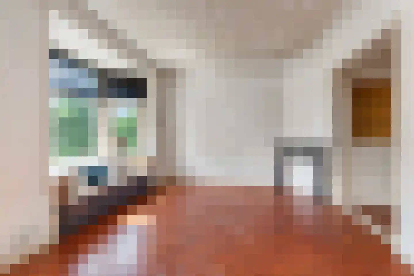 Johan de Wittlaan 199 1 Arnhem thumbnail 6