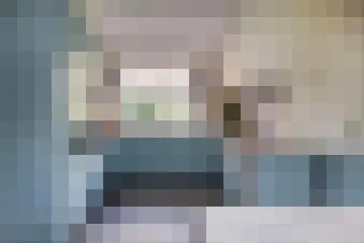 Johan de Wittlaan 2 Haarlem thumbnail 12
