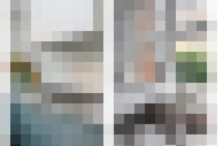 Johan de Wittlaan 2 Haarlem thumbnail 13