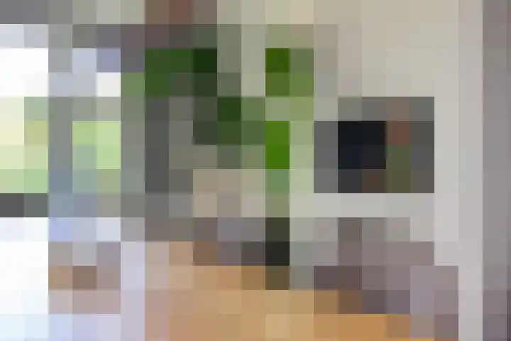 Johan de Wittlaan 2 Haarlem thumbnail 16