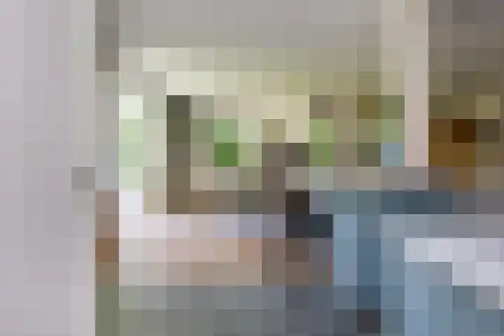 Johan de Wittlaan 2 Haarlem thumbnail 18