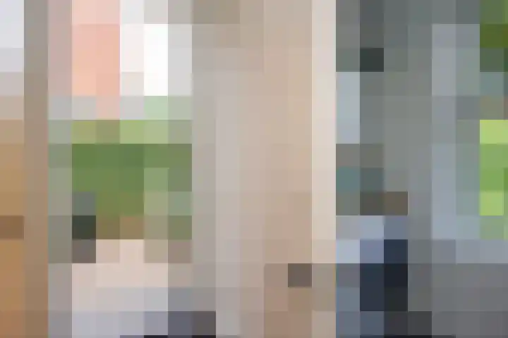 Johan de Wittlaan 2 Haarlem thumbnail 20