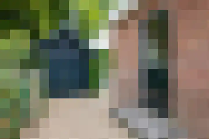 Johan de Wittlaan 2 Haarlem thumbnail 21